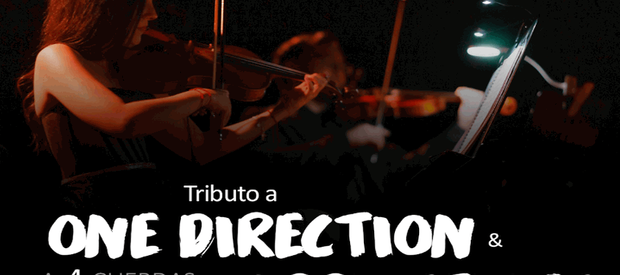 Tributo a One Direction y Harry Styles