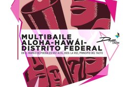 Imagen muestra de la actividad Multibaile: Aloha Hawái - Distrito Federal