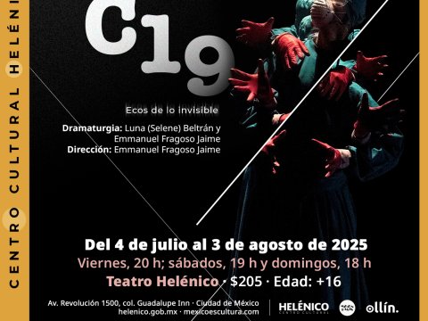 Imagen muestra de C19