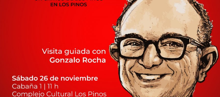 Las travesuras de Helguera: Un crítico de los pinos en Los Pinos