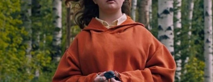 Hereditary