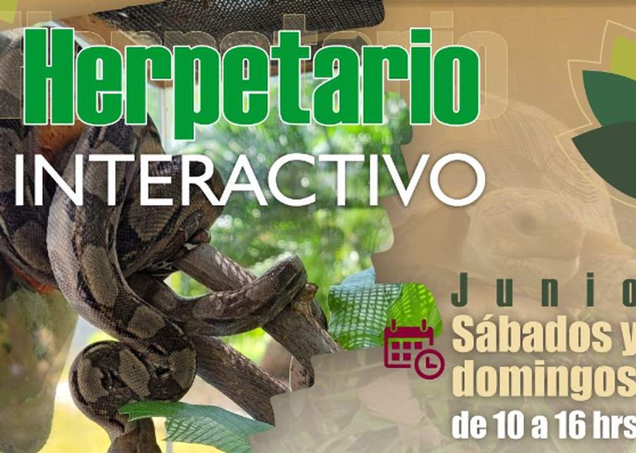 Imagen muestra de la actividad Herpetario interactivo