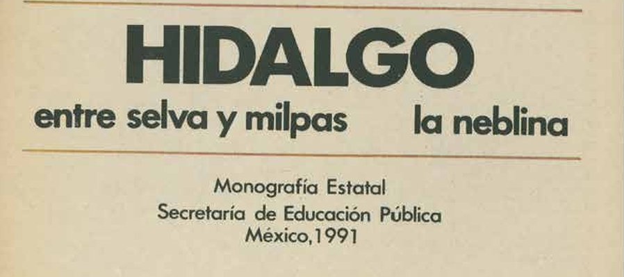Hidalgo: Entre selva y milpas... la neblina