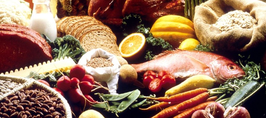 Higiene de los alimentos