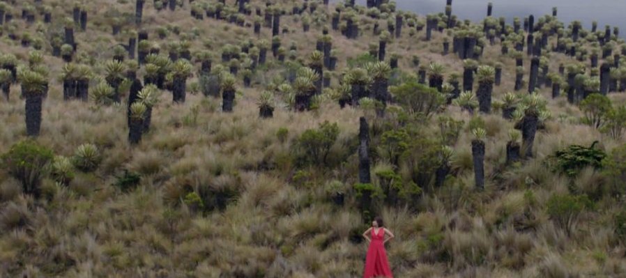 Hija del volcán