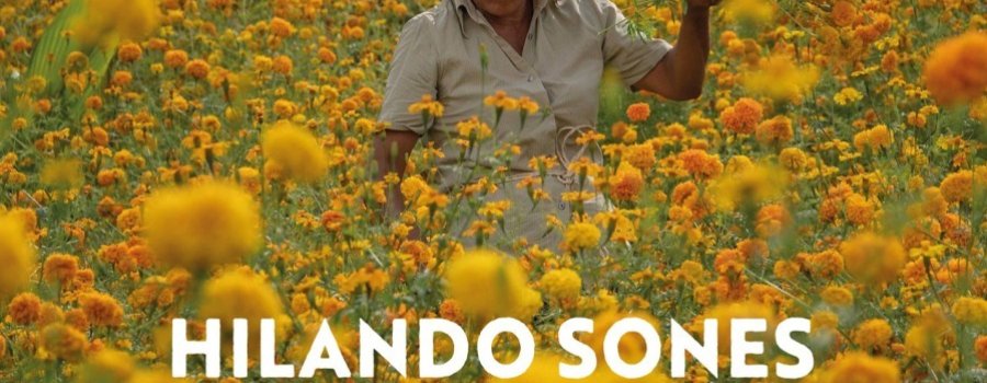 Hilando sones