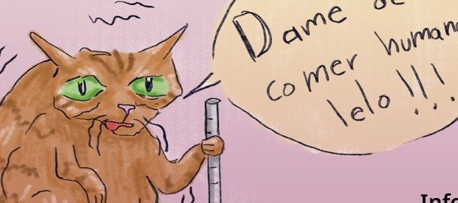 Historias de mi mascota