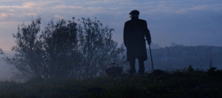 Historias del buen valle