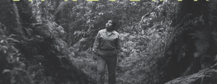 La reserva