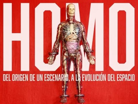 Homo