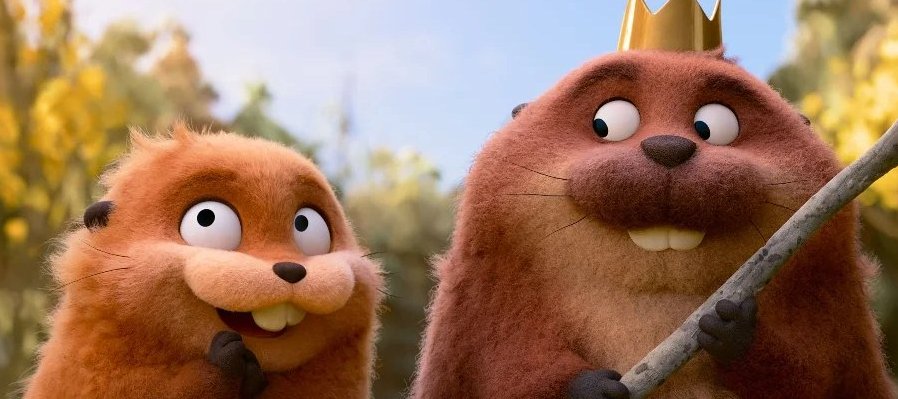 Hoppers operación castor