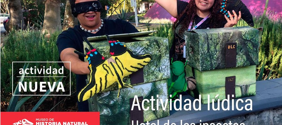 Hotel de los insectos