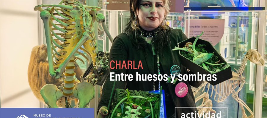 Entre huesos y sombras