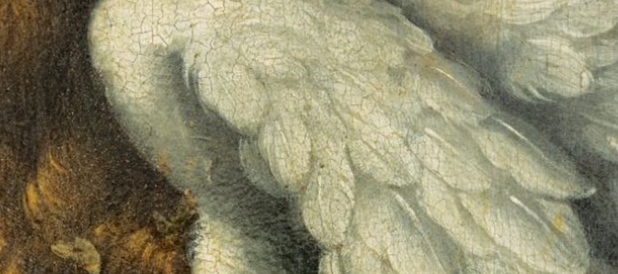 Ángeles. Las huestes celestiales en la Tierra
