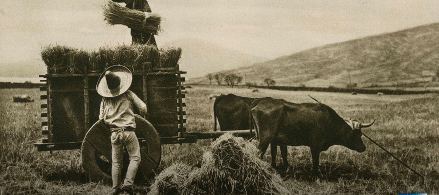 Hugo Brehme, un México idílico