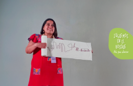 Imagen muestra de la actividad Iguales pero muuuy diferentes