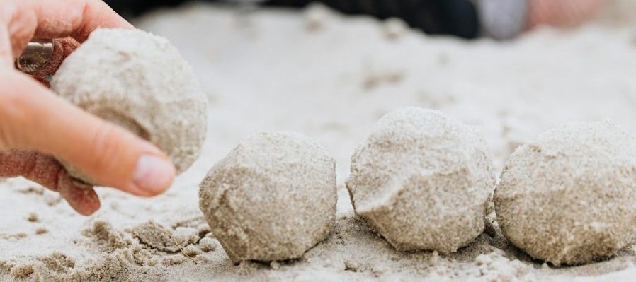 Actividad sensorial de artes plásticas