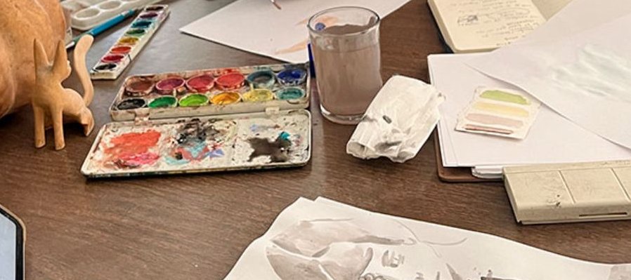 Ilustra, diseña y sustenta