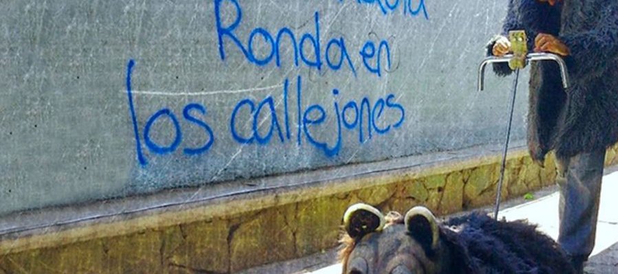 Teatro de calle: máscaras, esculturas vivientes y otros personajes