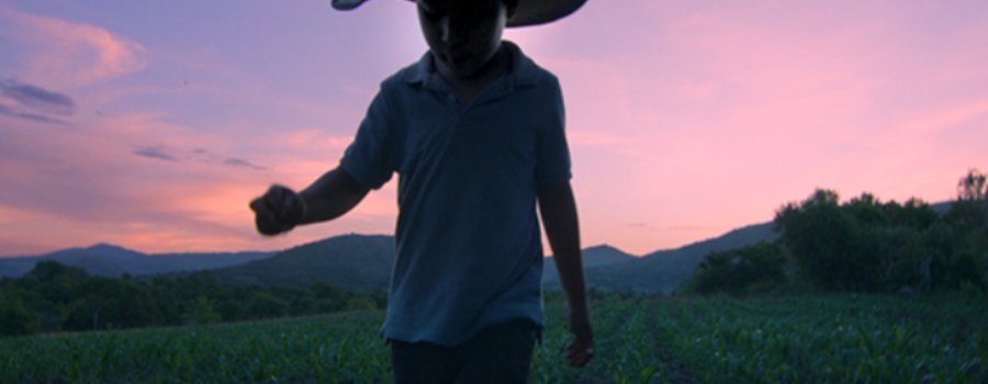 El tiempo de las luciérnagas