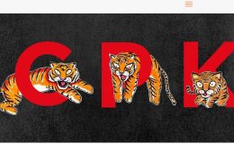 Imagen muestra de la actividad Cachorros de tigre. Un universo posible de dibujo en Méx...