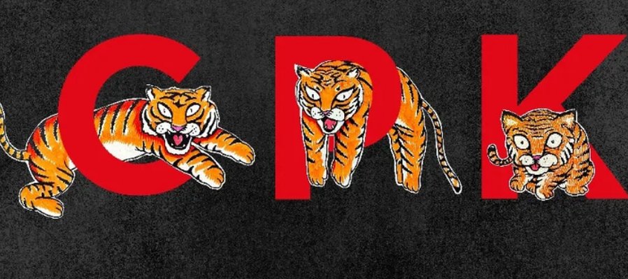 Cachorros de tigre. Un universo posible de dibujo en México