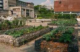 Fabrica tu huerto: cultiva comunidad, come con conciencia