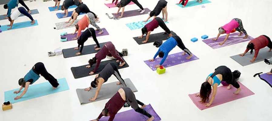 Yoga restaurativo para personas mayores