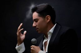 El intérprete en concierto