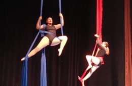 Danza aérea