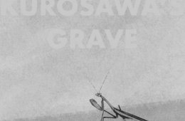 Kurosawa´s Grave (La tumba de Kurosawa)