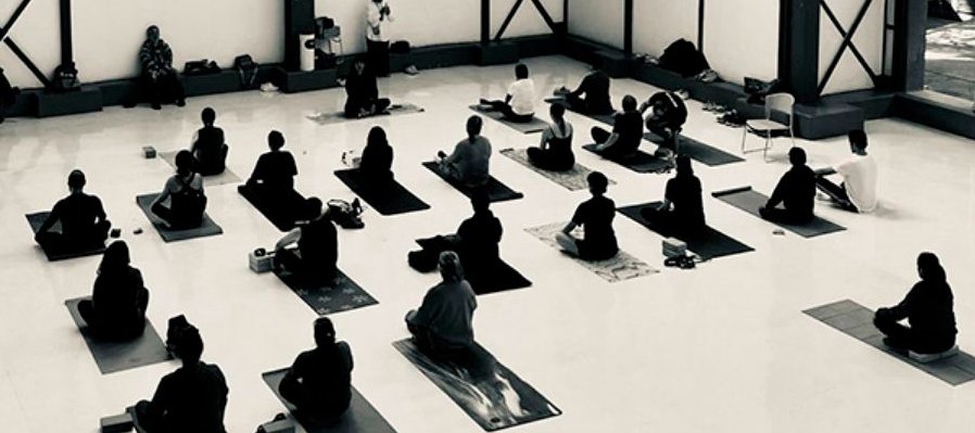 Yoga: hatha y alineación