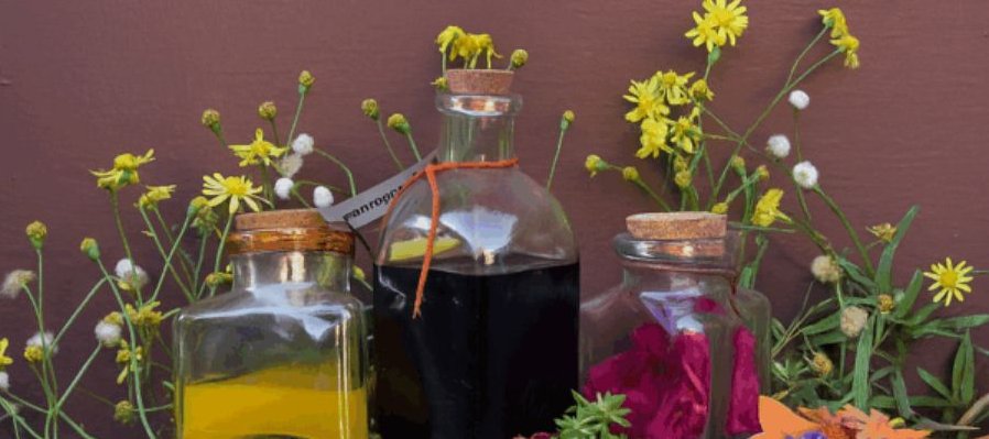 Colores de la UVA: tintas naturales y dibujo botánico