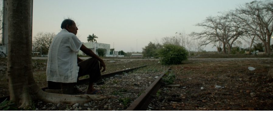 El Tren y la Península