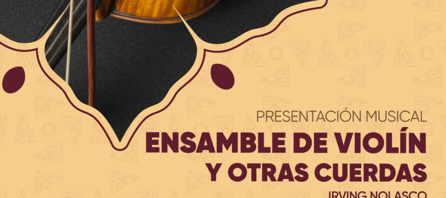 Ensamble de violín y otras cuerdas