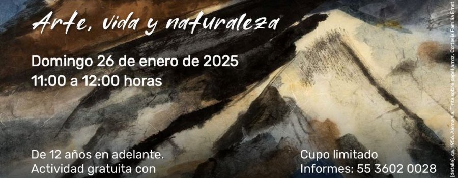 Estudios de la naturaleza a tinta / Arte, Vida y Naturaleza