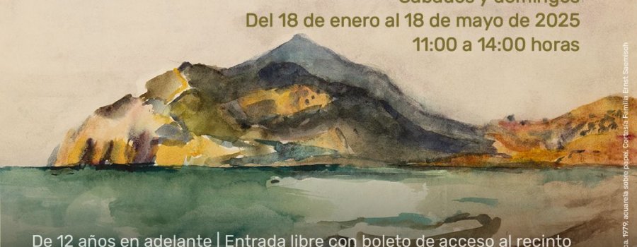 Arte, Vida y Naturaleza
