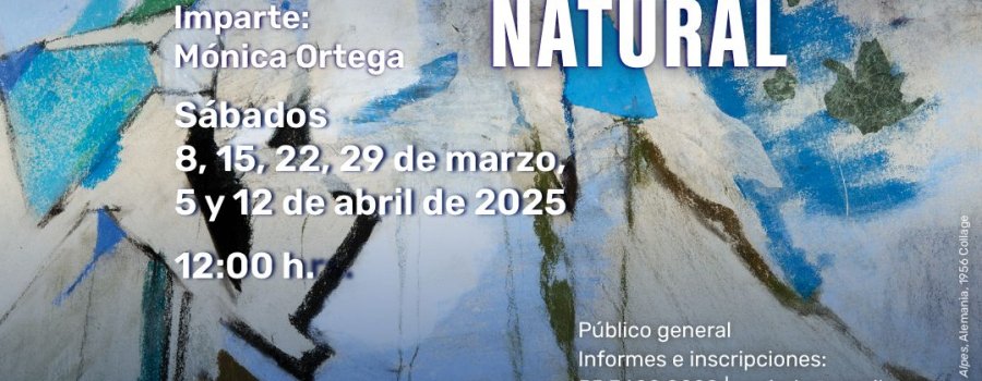 Abstracción natural
