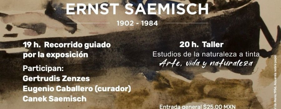 Noche de Museos de febrero 2025