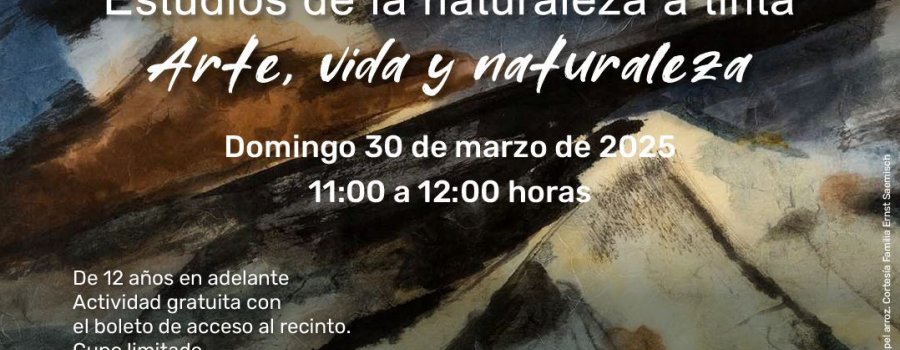 Estudios de la naturaleza a tinta