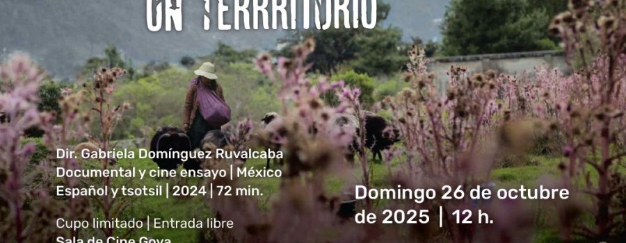 Formas de atravesar un territorio