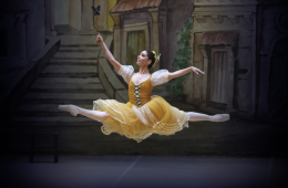 Imagen muestra de la actividad Coppélia