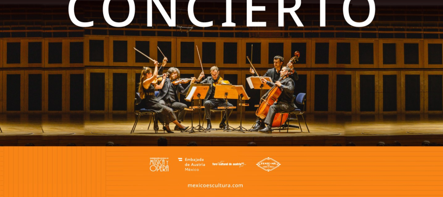 Wiener Kammersymphonie