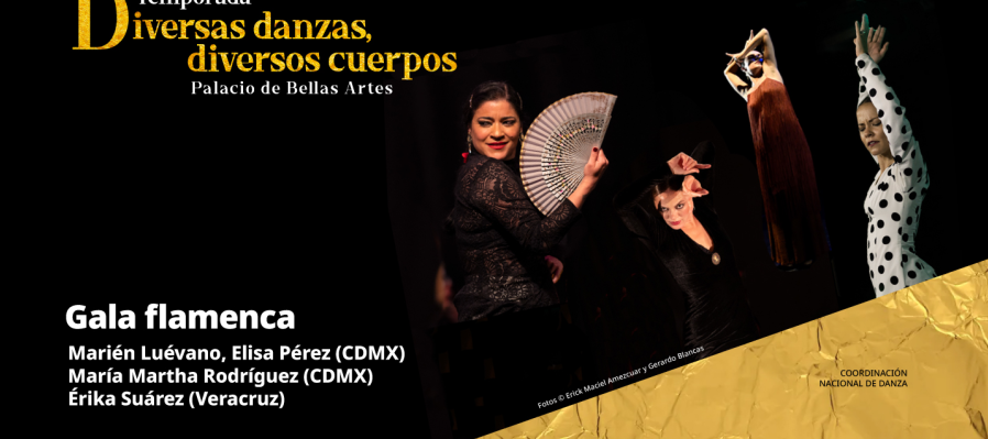 Gala Flamenca, 4 solistas