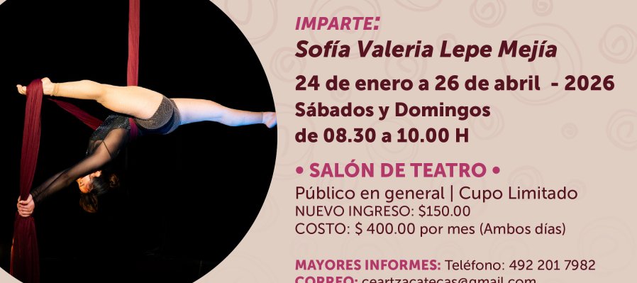 Taller de danza aérea