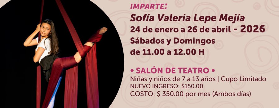 Taller de danza aérea para niños