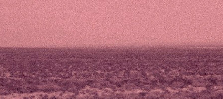 Instantes y reflexiones