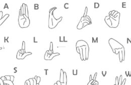 Imagen muestra de la actividad Introducción a la lengua de señas mexicana