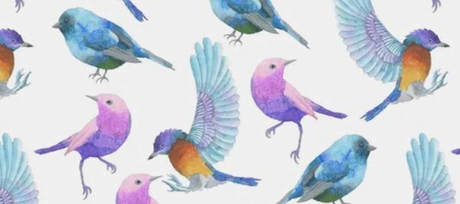 Inventario de aves