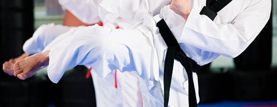 Karate Do para principiantes